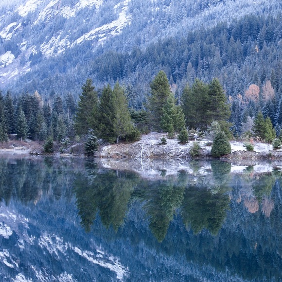 Meet your Posher, Abby - Picture 1 of 1